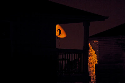 Moon Silhouette