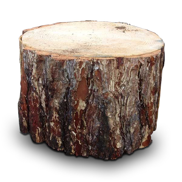 Kutuk Nedir Ne Demektir Anlami Laf Sozluk