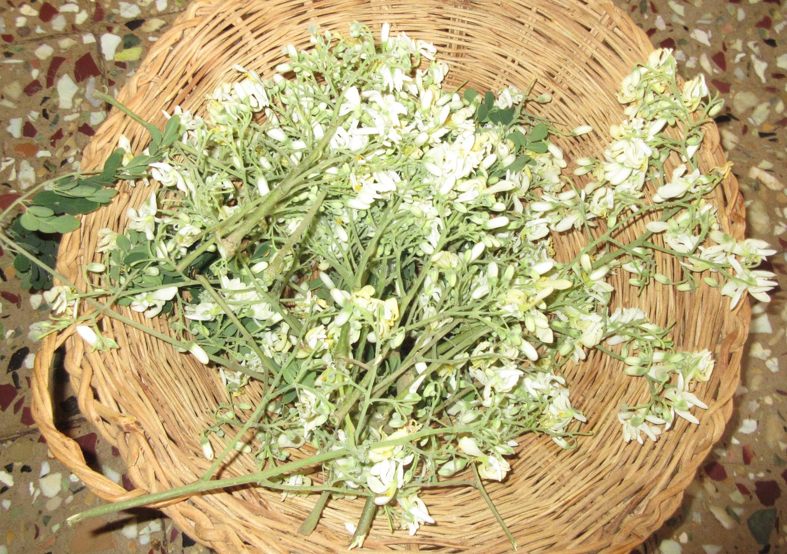 Archies Authentic Touch Drumstick Flower Bhuthi Version 2