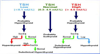 thyroid lab tests