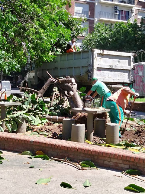 Solo falta que Rodriguez Larreta corte el ombú: Cambiemos destruye la historia del Parque Rivadavia para abrir la continuación de la calle Beauchef. Asimismo, sigue eliminando espacios verdes y cada vez hay menos tierra y más asfalto impidiendo que el agua de lluvia filtre, provocando mayores inundaciones
