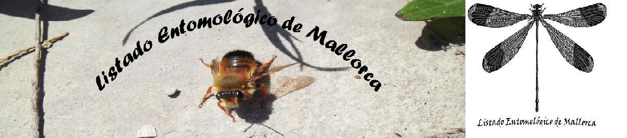 Listado entomológico de Mallorca