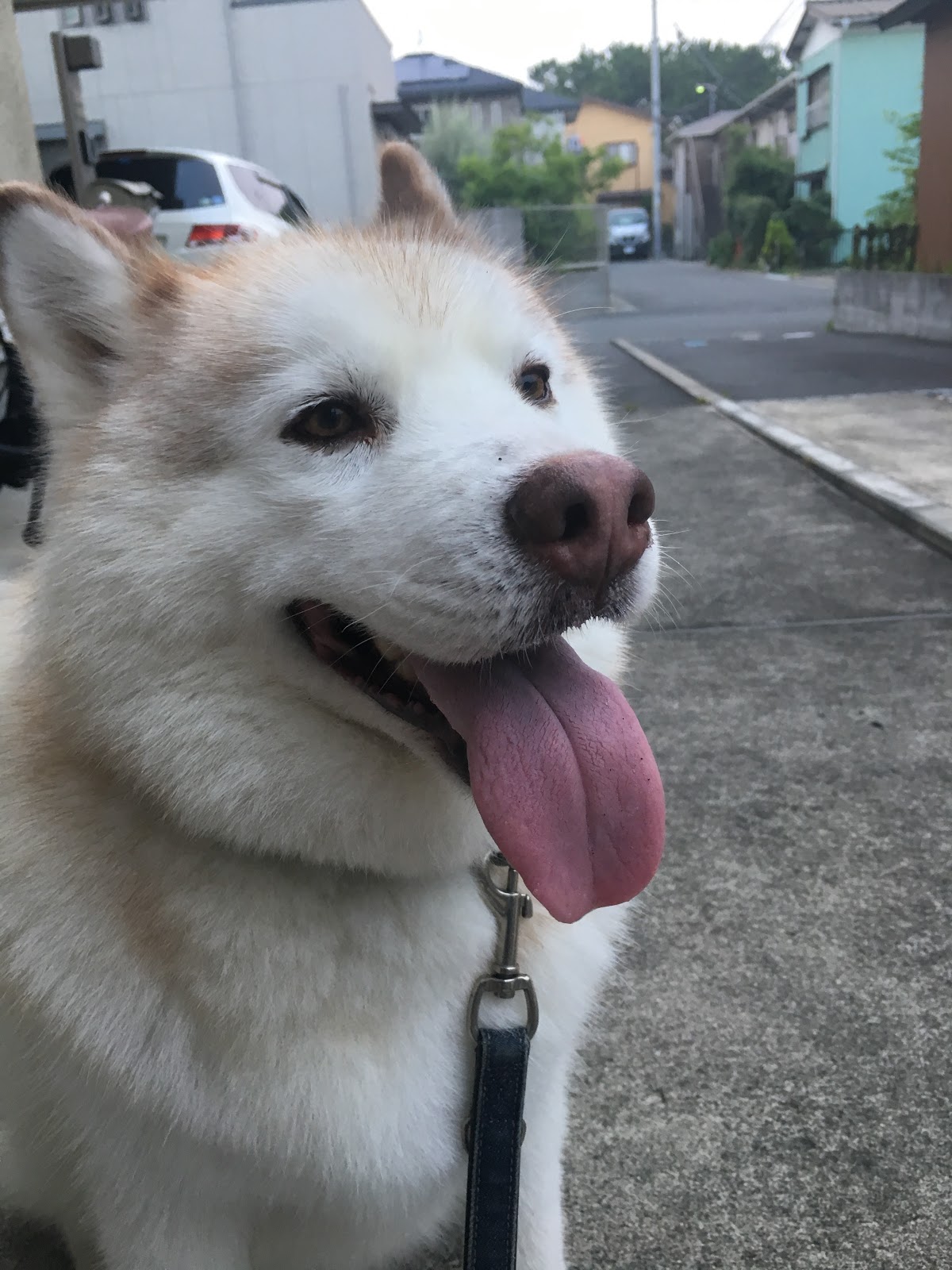 危ない危ない 人