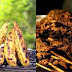 Stay Away From Boli, Suya, They Can Cause Cancer – SOGHIN Warn Nigerian