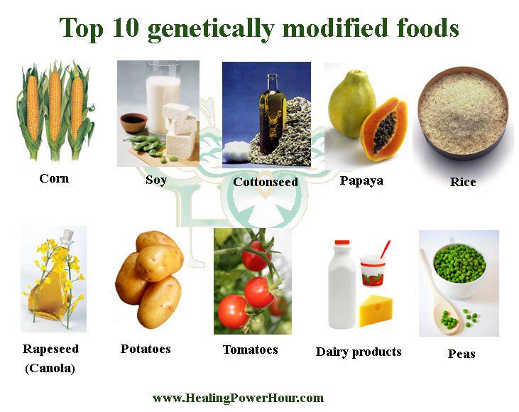 Indian Botanists: Status of Field Trials for Genetically Modified