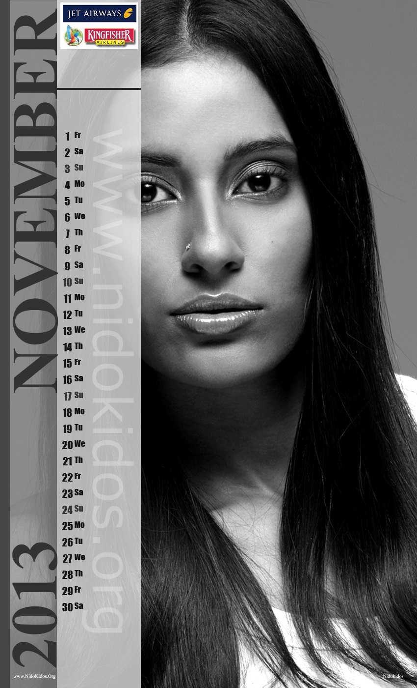 Kingfisher calendar 2013 Unofficial exclusive release