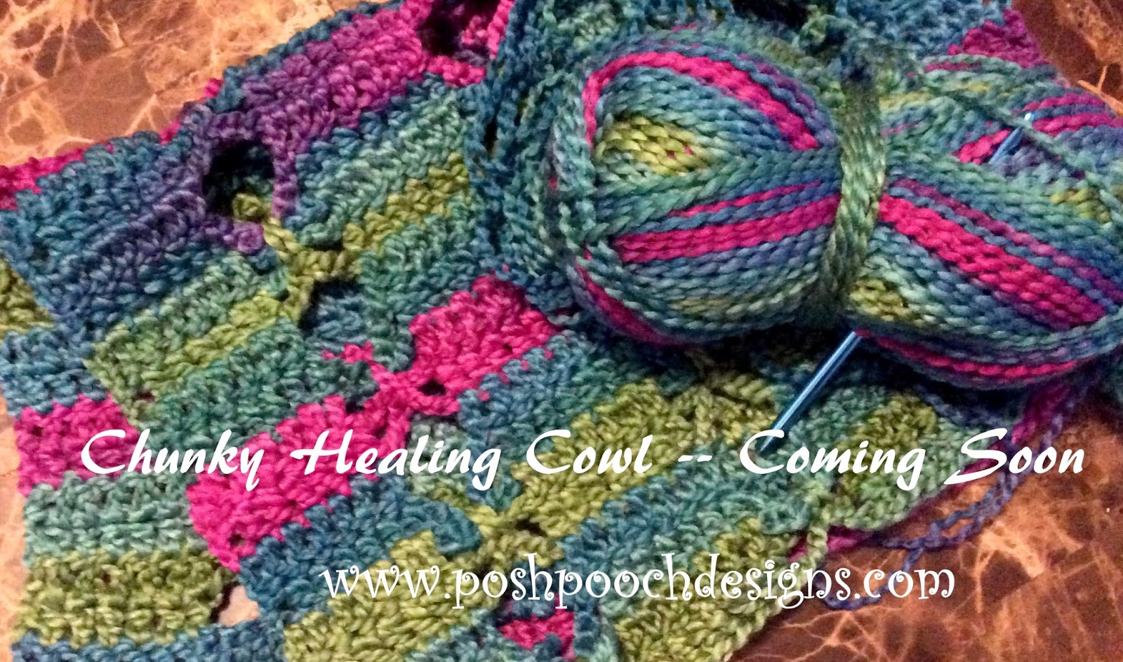 Posh Pooch Designs : Live Video Crochet Hook Letter, Number or MM