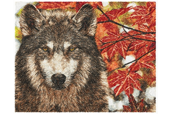 Wolf Wolf