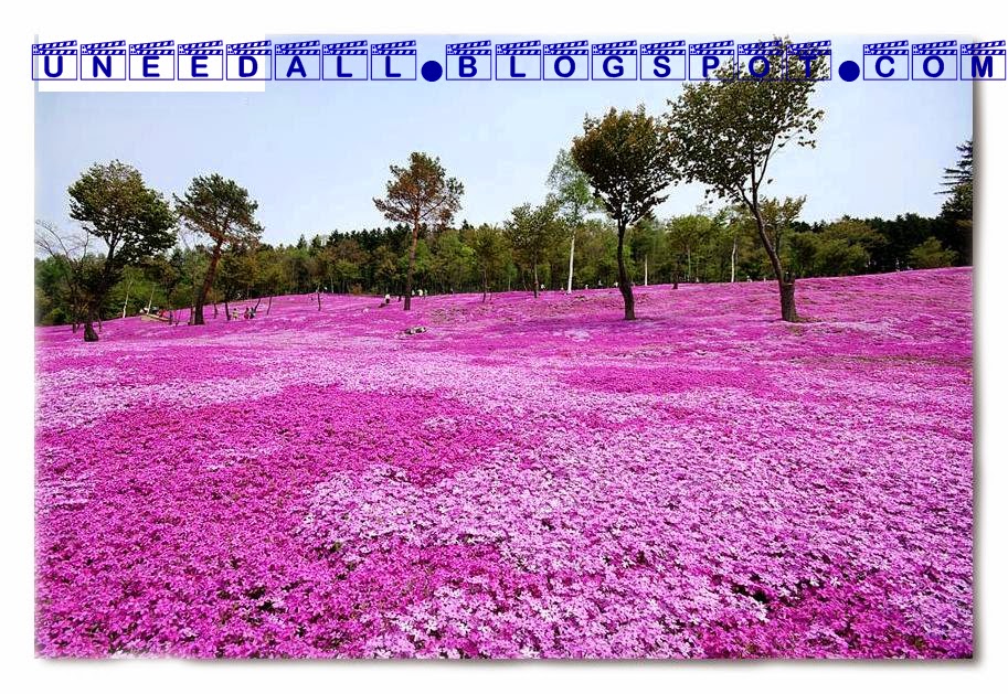 Cool wallpapers free download Cool images