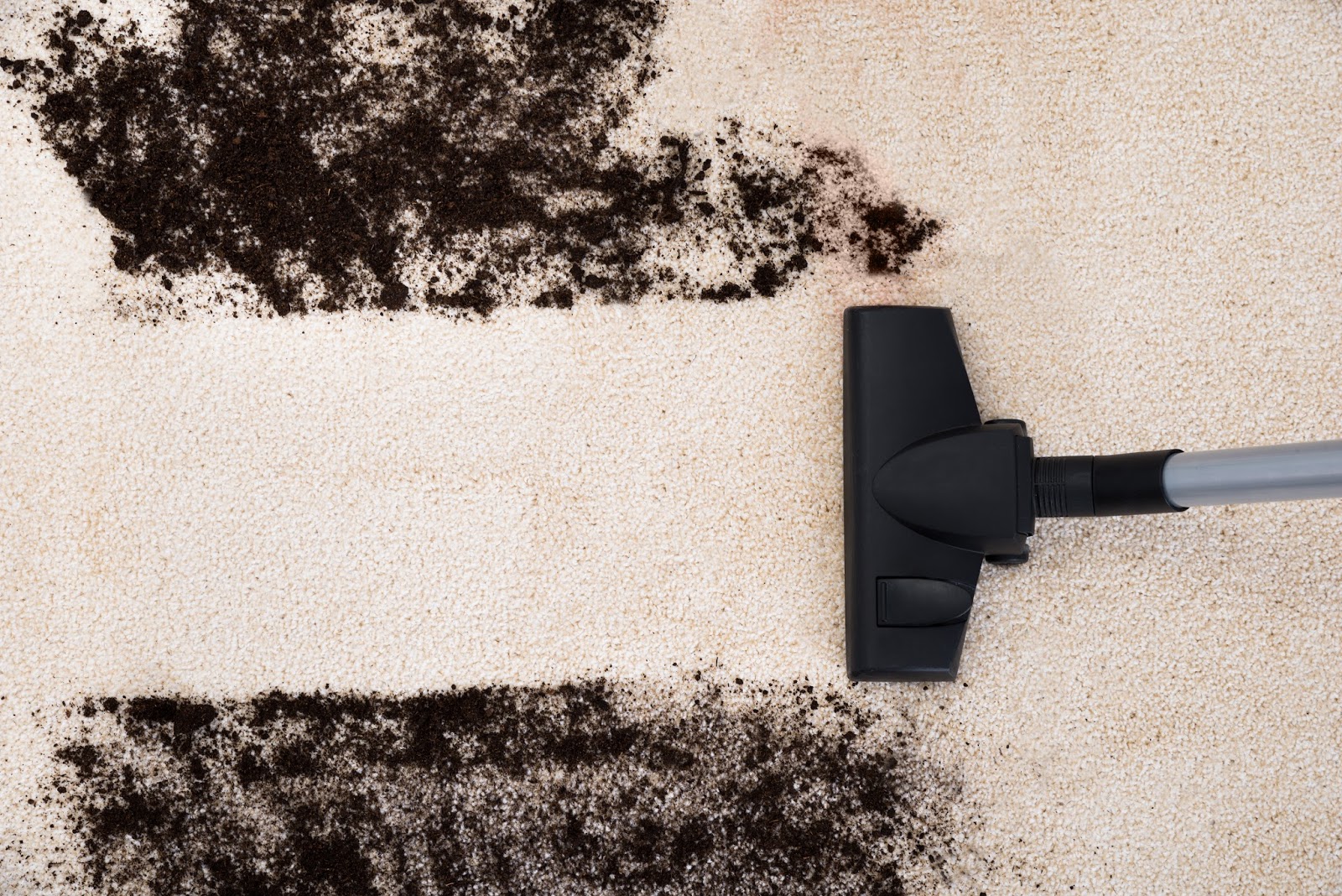 SteamKleen Ways to tell if your carpet is dirty