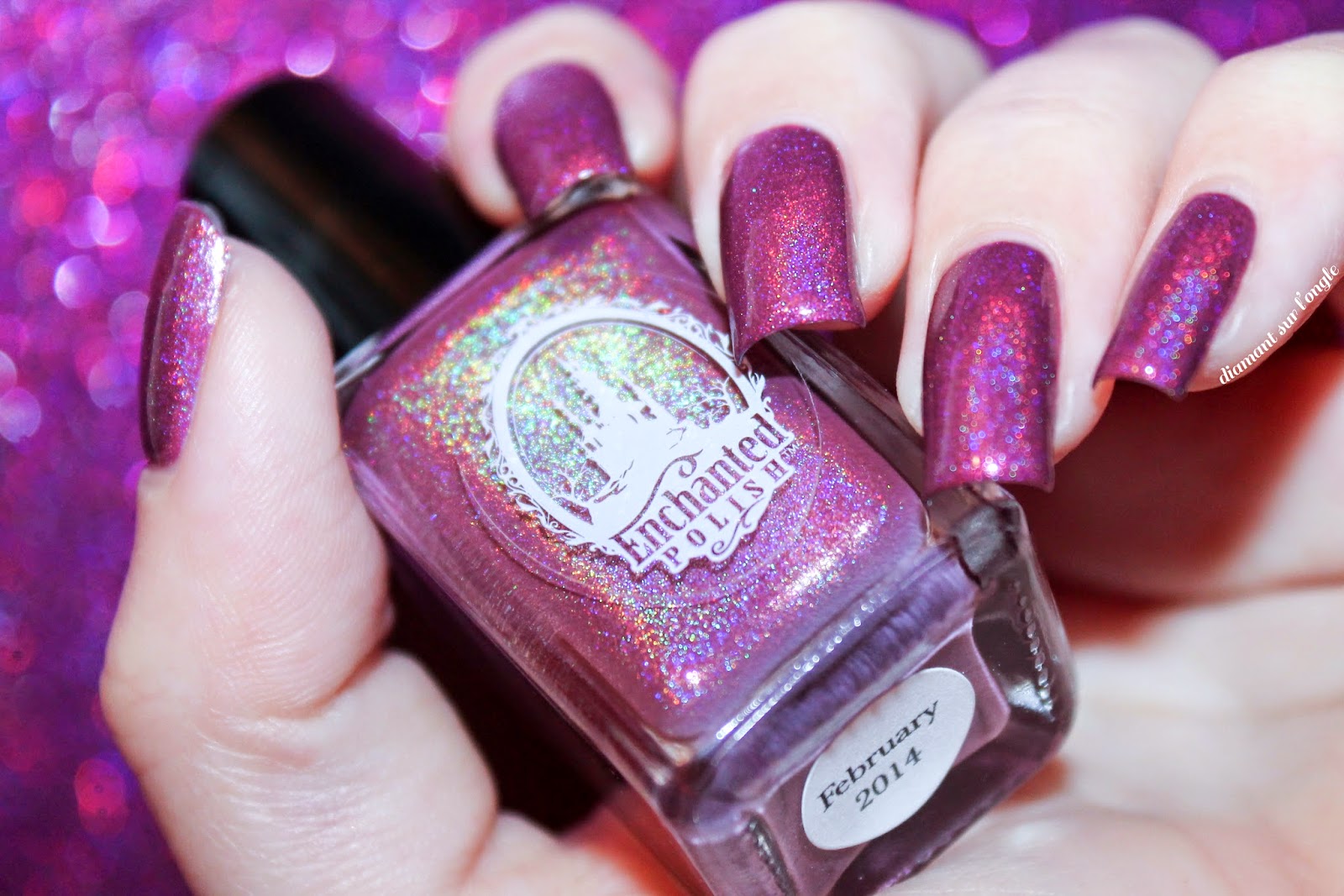Swatch of February 2014 by Enchanted Polish