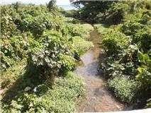 Barahona, una belleza inigualable