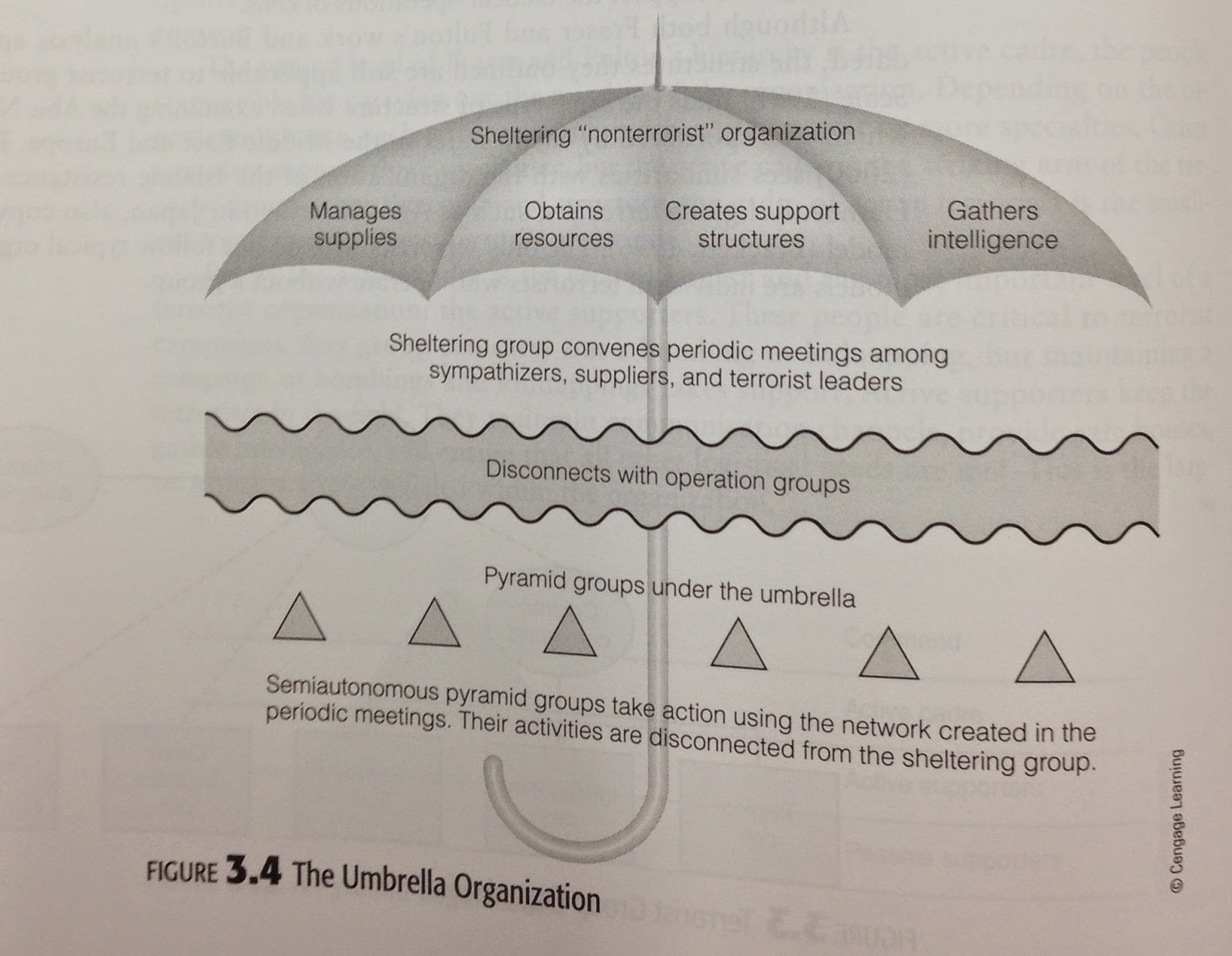 Sociology A Deeper Look The Organization and Financing of Terrorism
