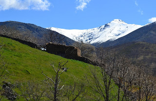 Tornavacas prado de montaña