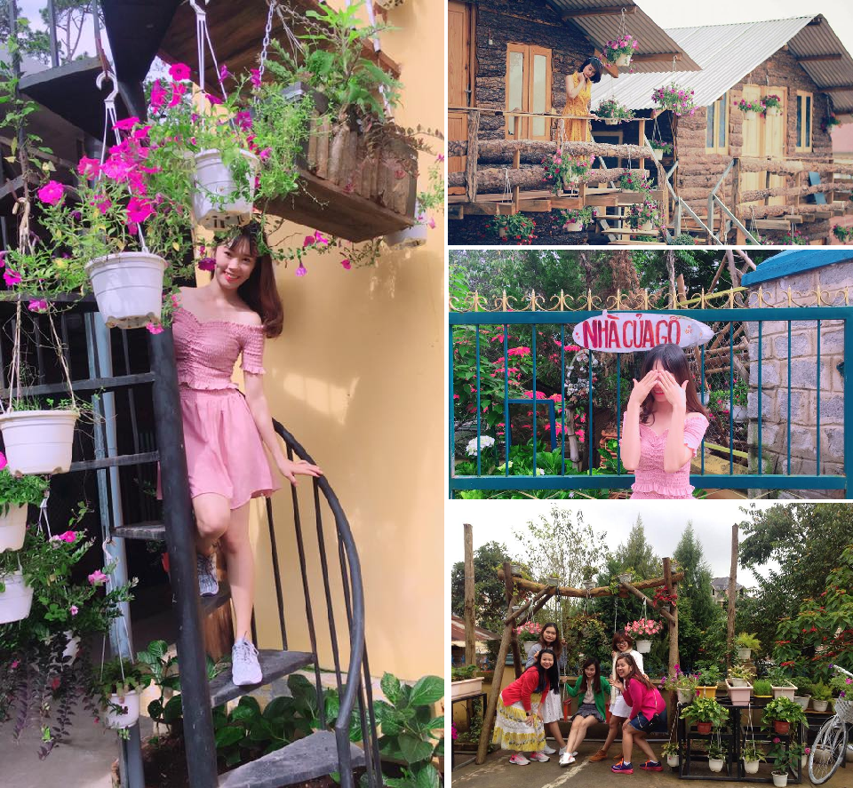 Sakura Homestay: Thiên đường check - in sống ảo mệt nghỉ cực chất ở Đà Lạt