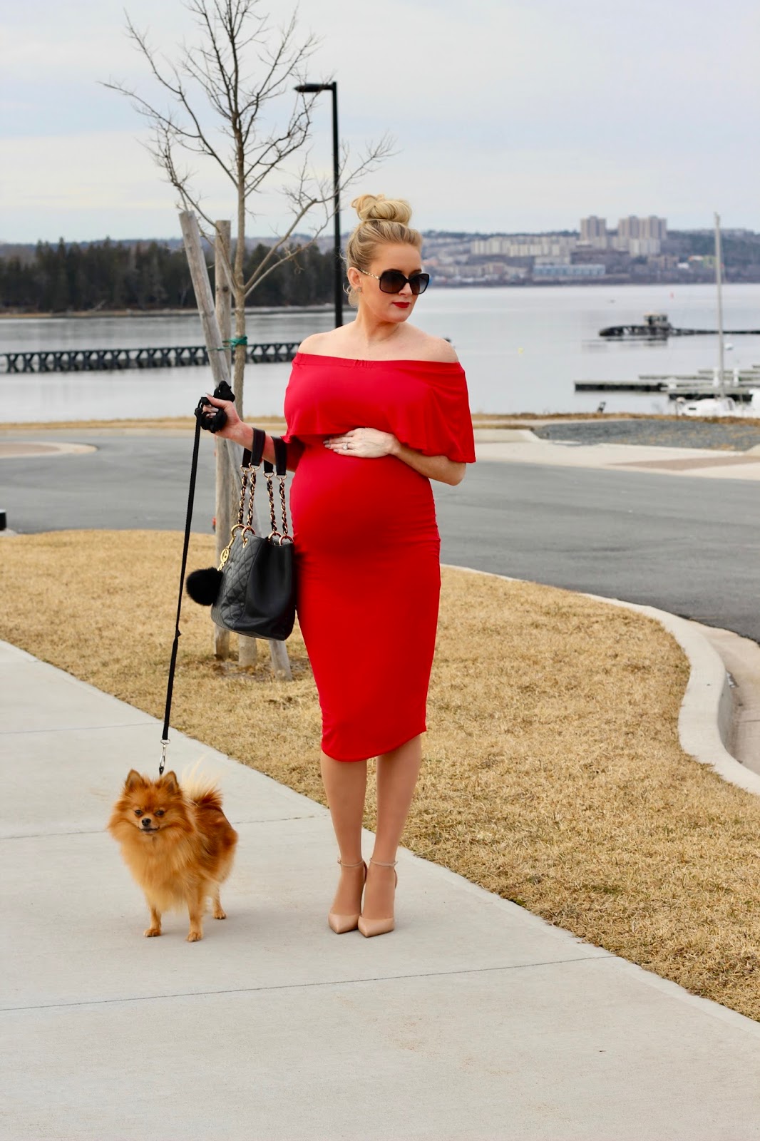 On To The Next Paige The Perfect Valentine's Day Maternity Dress! And