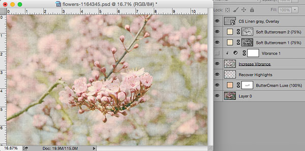 the coffeeshop blog coffeeshop fine