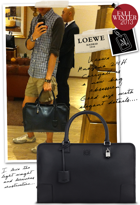 myMANybags: Loewe Amazona 24H Bag