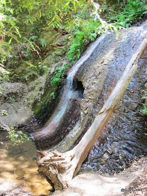 Golden Creek Falls / Cascada Golden Creek