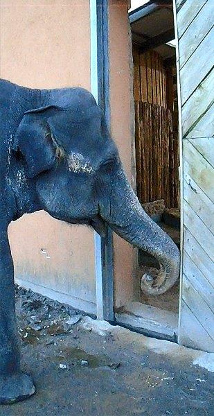 The Door Industry Journal P C Henderson Hardware Specified For