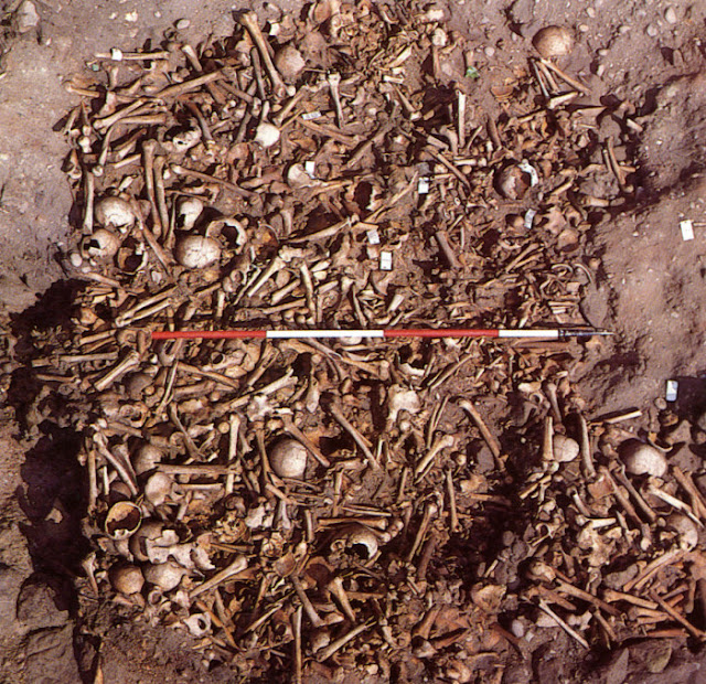 Radiocarbon dating reveals mass grave did date to the Viking age