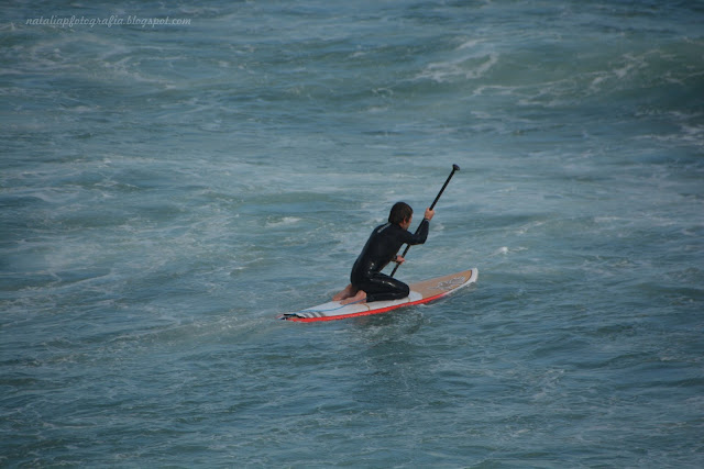 DSC_1946.JPG