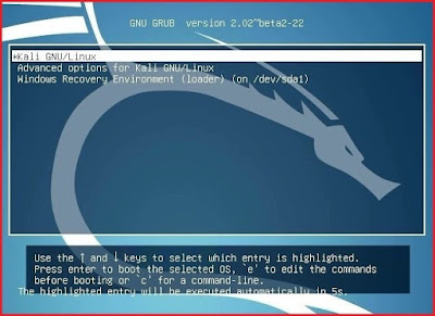 How to make dual boot Kali Linux with windows?