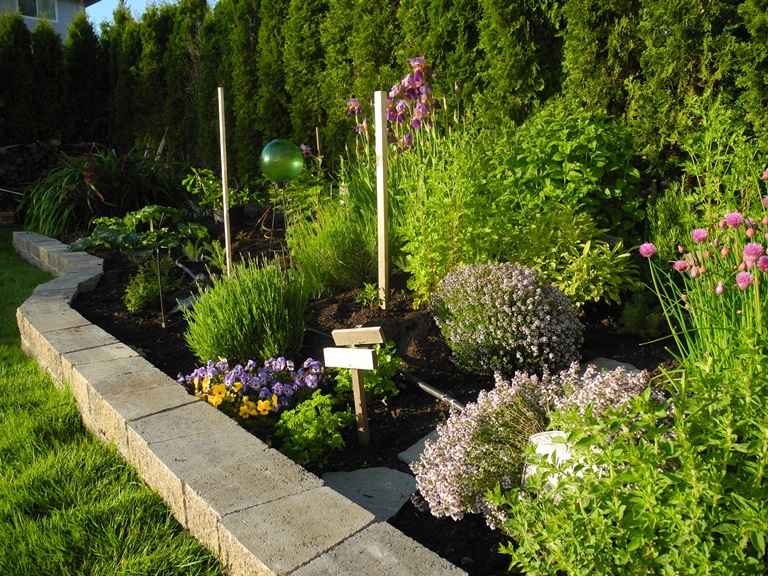 The Farmer Fred Rant Plants For Privacy