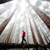 Impresionantes fotos de National Geographic.