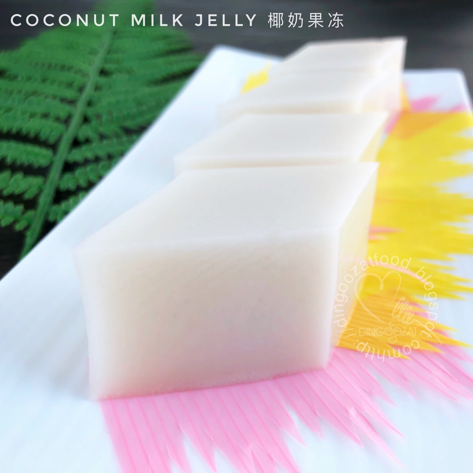 Miki's Food Archives Coconut Milk Jelly 椰奶果冻