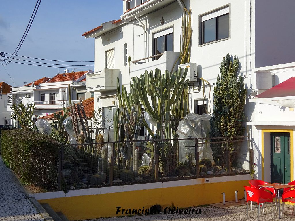 Andarilhar Águas de Moura