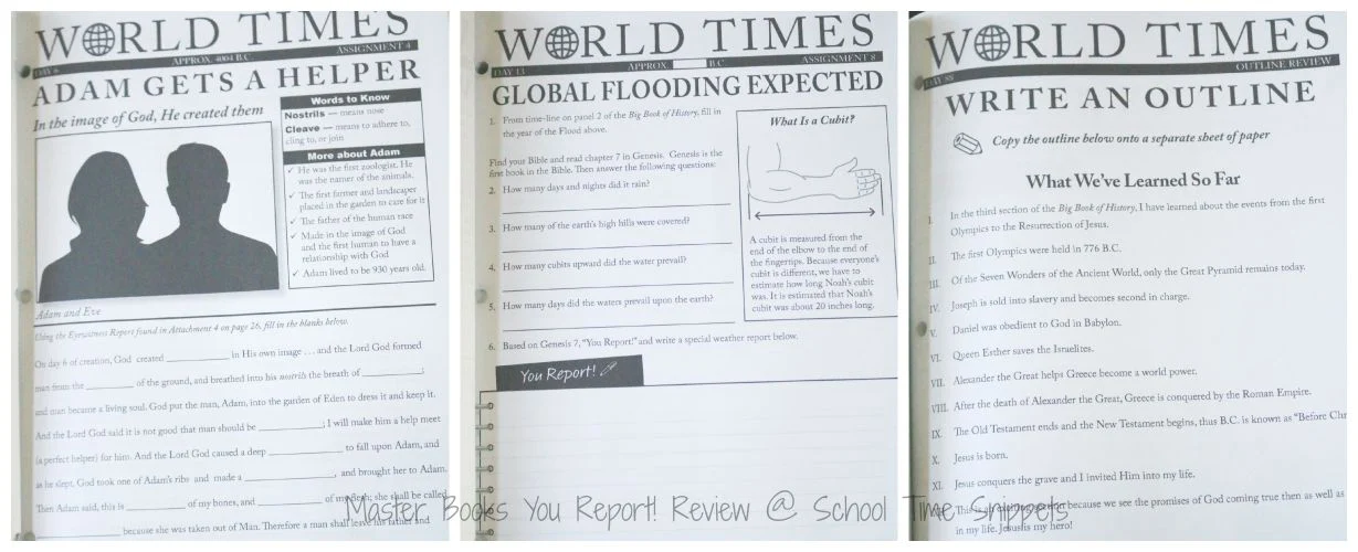 World History Homeschool Curriculum Review