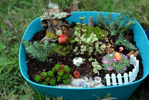 mini garden