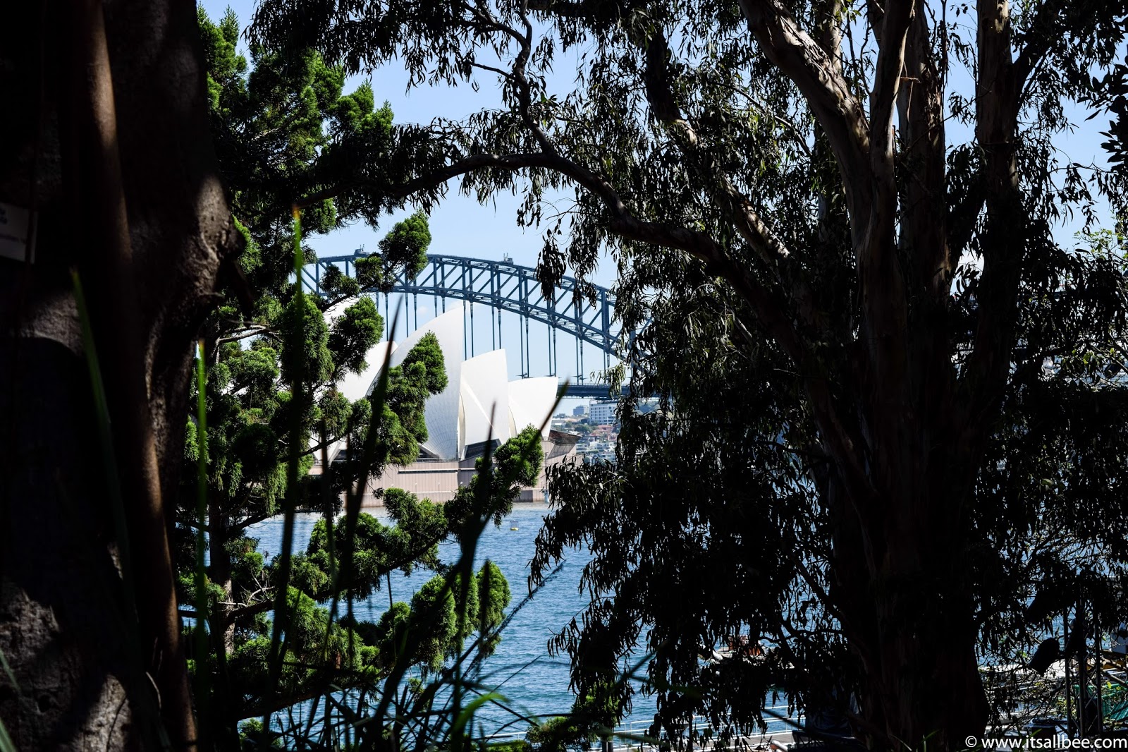 Sydney Botanical Gardens + Views From Mrs Macquarie's Chair