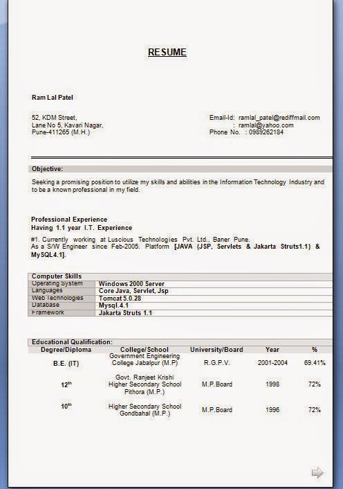 professional resume summary