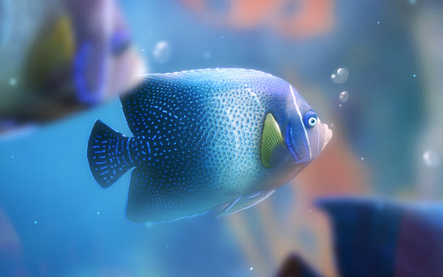 Amazing Fish HD widescreen desktop wallpaper 2014.