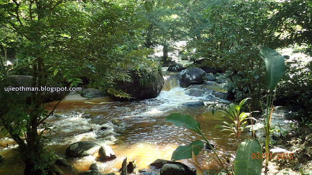 Lata Jarum, Raub