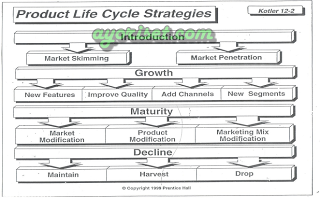 PRODUCT LIFE CYCLE STRATEGIES