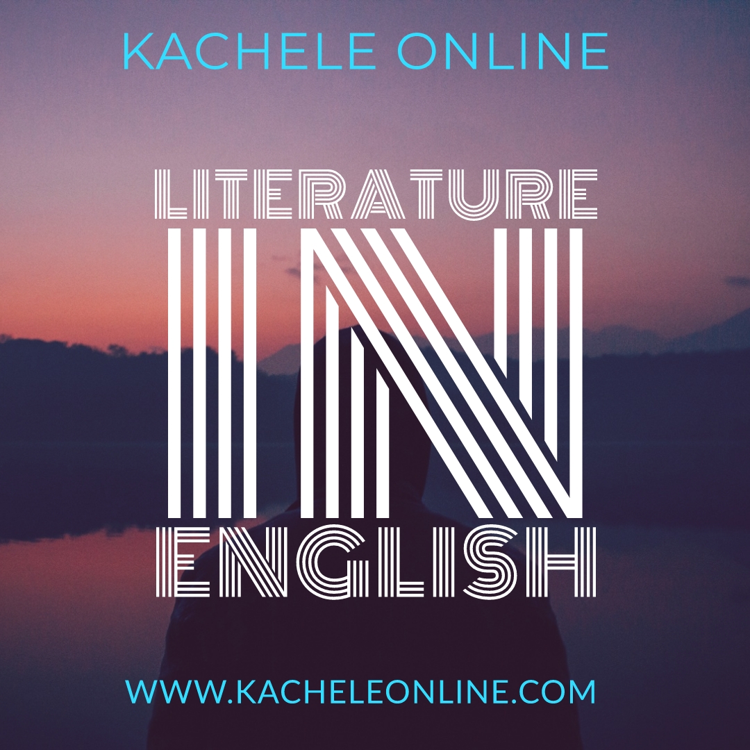 Houseboy amazon image