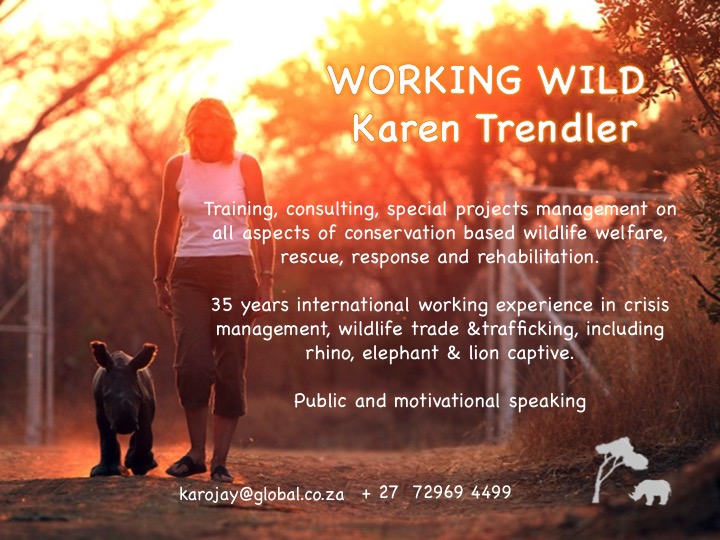 WORKING WILD Karen Trendler  