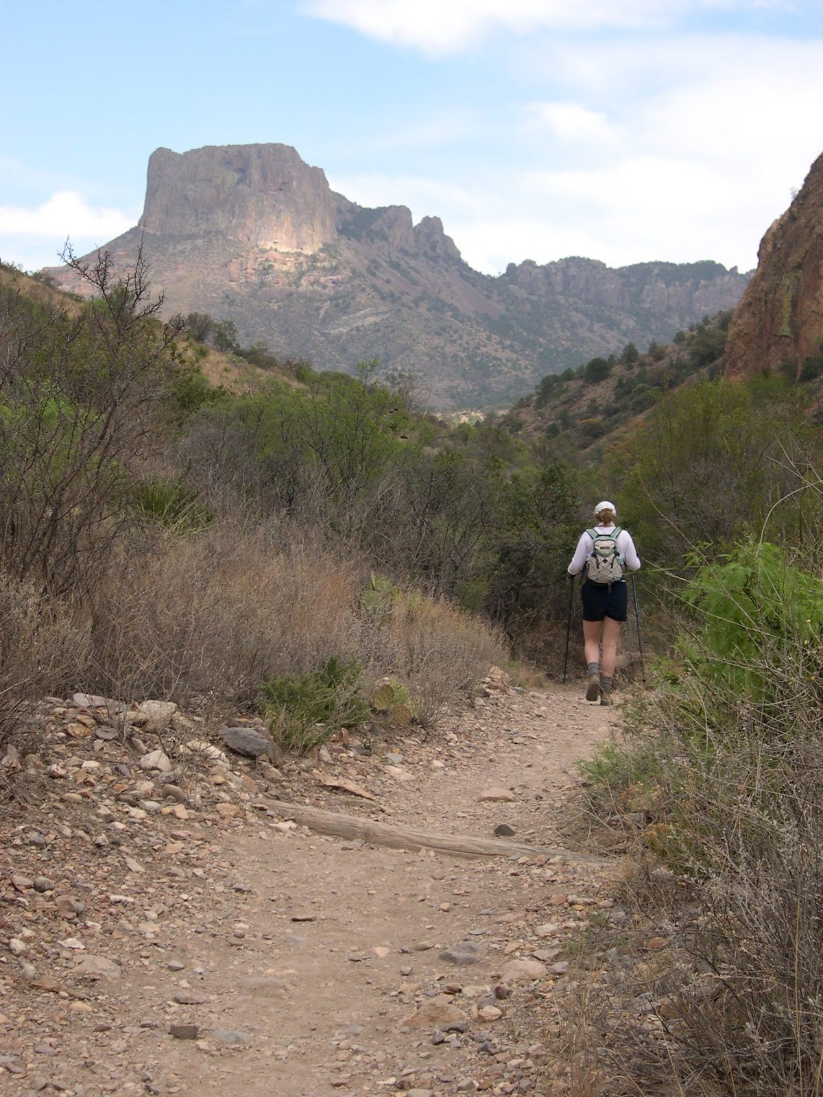Texas Mountain Trail Daily Photo Window Trail in Big Bend National Park