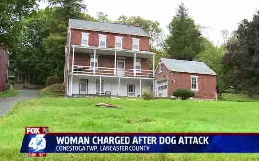 Four legged friends (and enemies): Woman told pit bull for ...