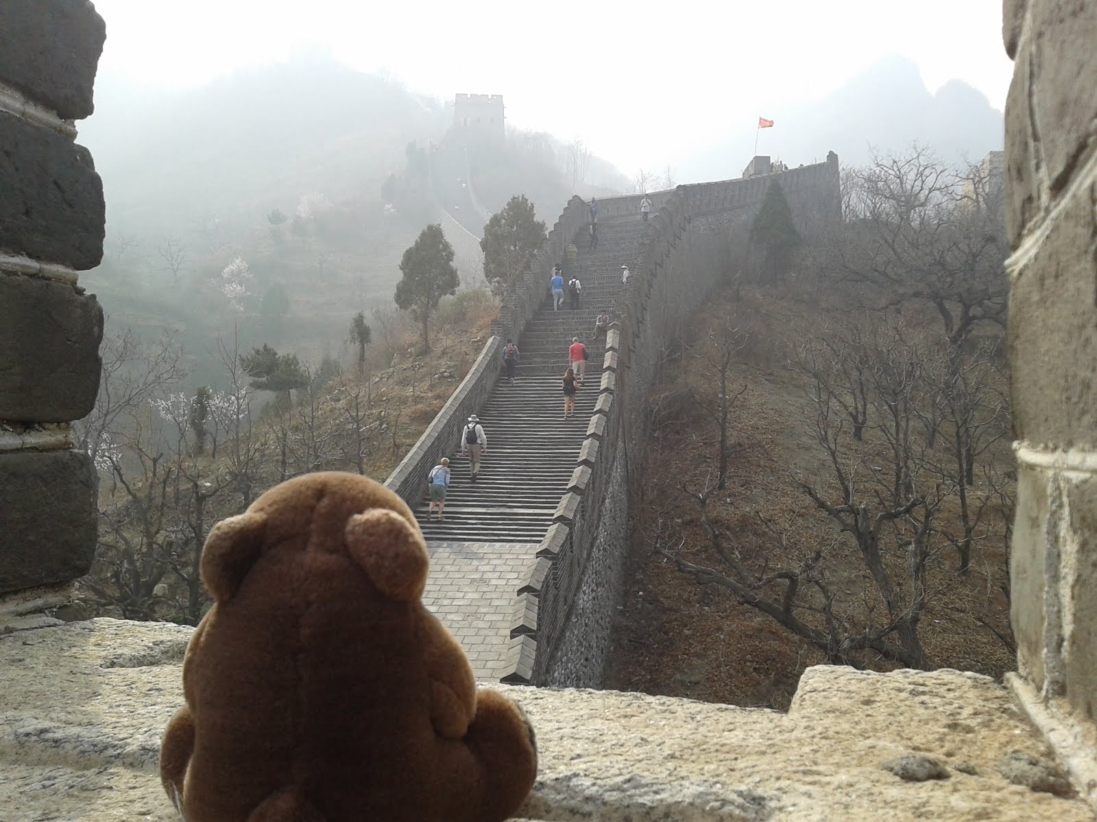 Teddy in Huangyaguan Great Wall, China