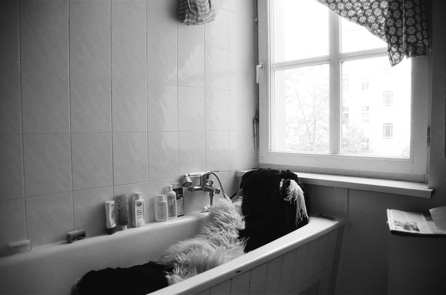 DIE STREICHELWURST. Das Magazin: Ich in der Badewanne...