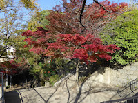 野崎観音・慈眼寺（じげんじ）の紅葉