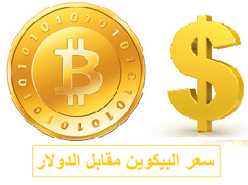 البيتكوين مقابل الدولار