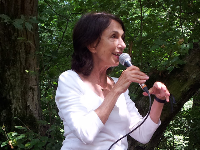 Suzanne Ciani @ Terraforma Festival 2017 / photo S. Mazars Suzanne Ciani @ Terraforma Festival 2017 / photo S. Mazars