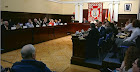 Pleno de constitución