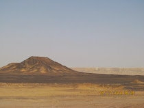 Black Desert meets the White Desert, Western Desert Oasis Loop (Egypt)