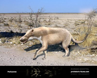 extinct animals Pachyaena